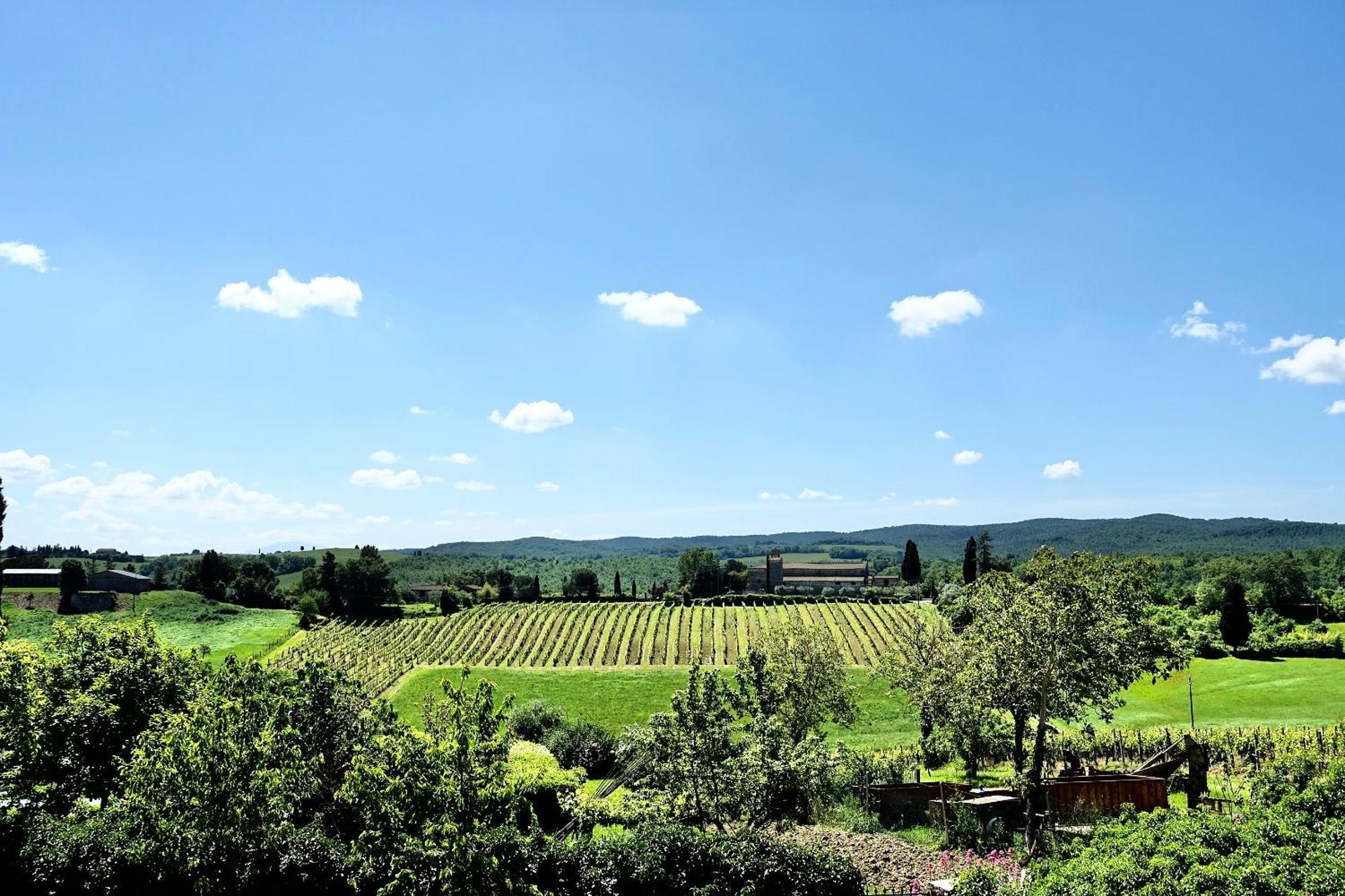 Villa Buonsignori - Wine & Olive Oil Farm Корсано Экстерьер фото